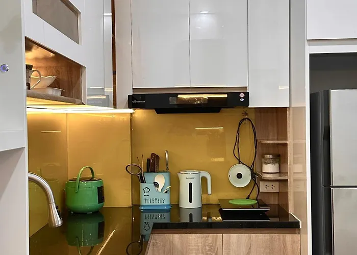 Ho 1 Phong Ngu - Mono In Centre- Times Garden Apartment *